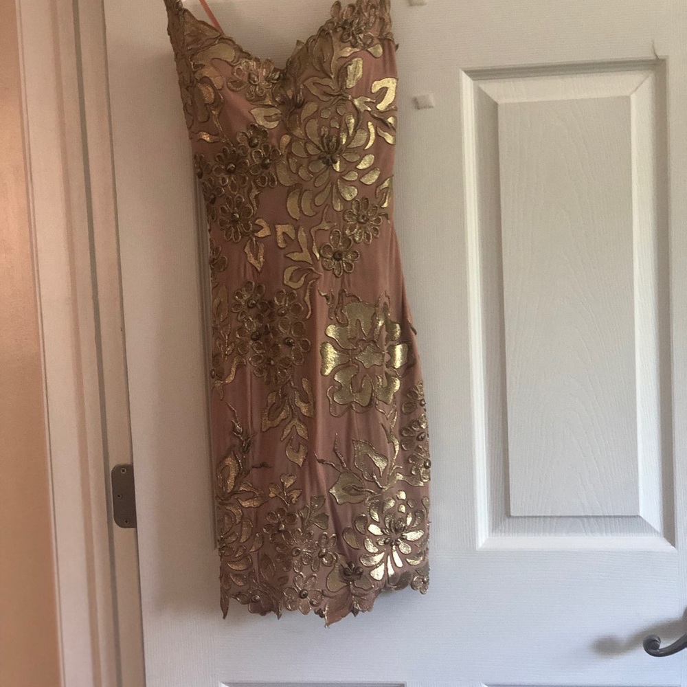 Hand Painted Ema Savahl Dress - Picture 7 of 7